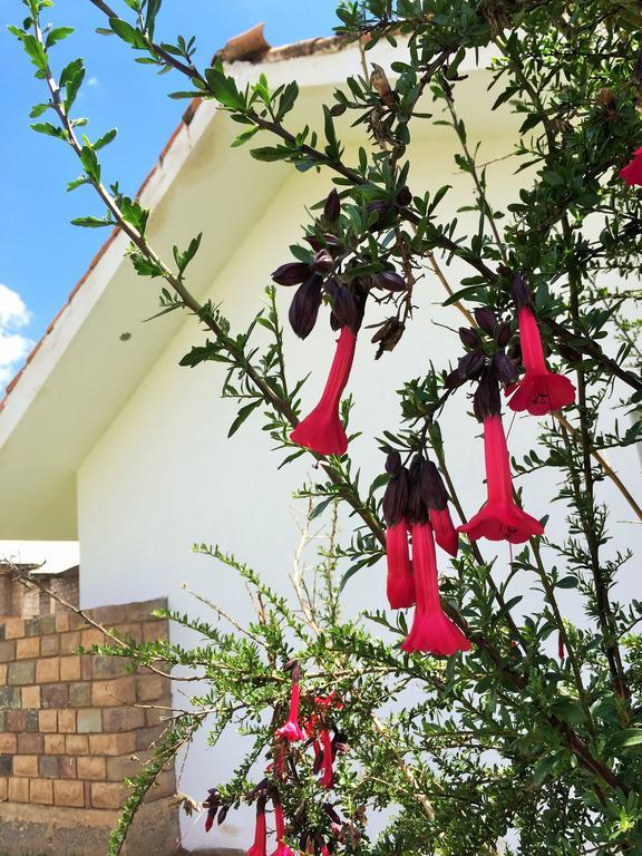 Hotel De Turistas La Villa Sicuani Εξωτερικό φωτογραφία